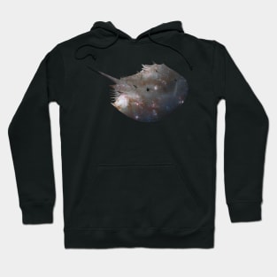 Galaxy Horseshoe Crab Hoodie